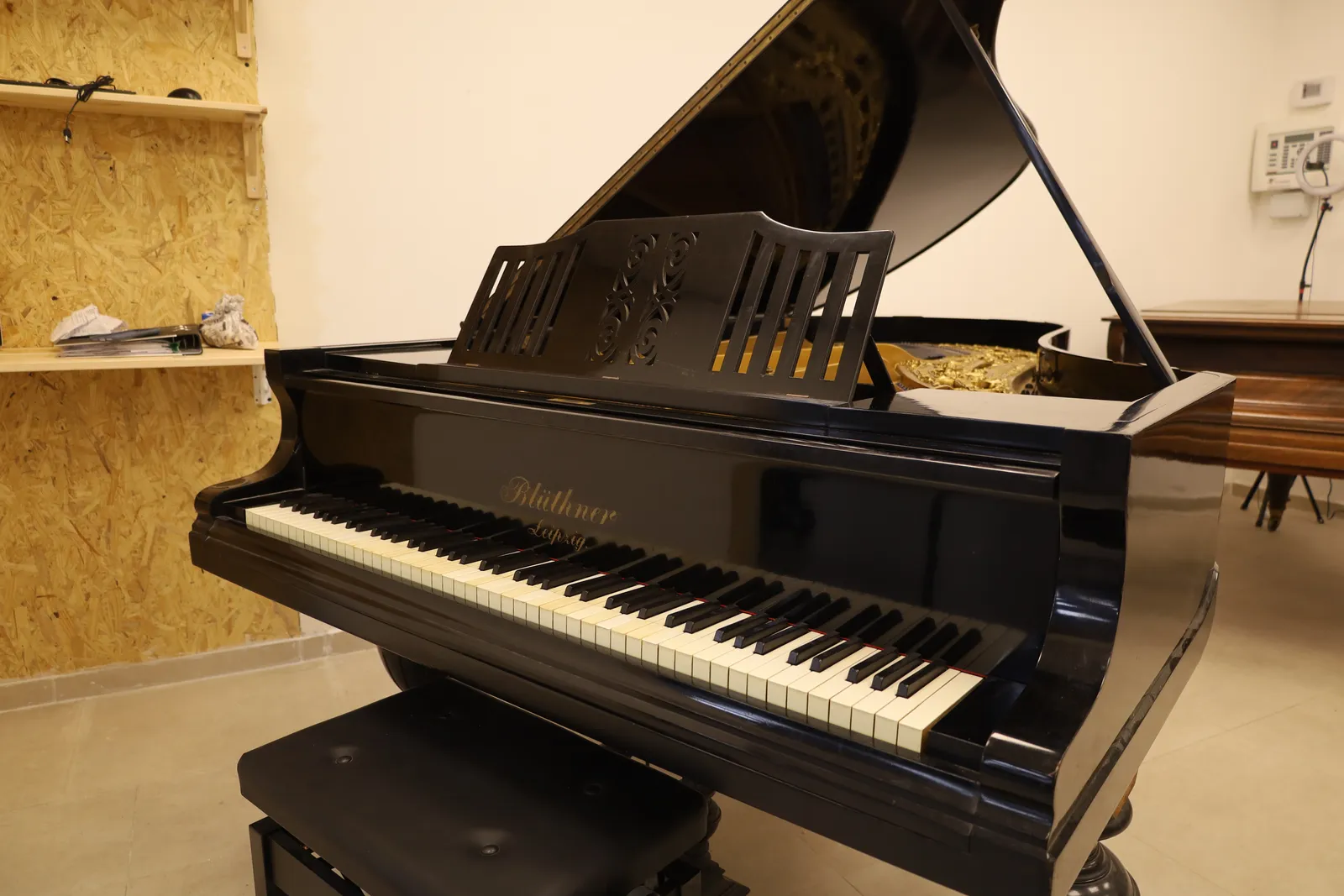 Blüthner Model 6